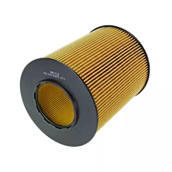 Filtre à air MEYLE