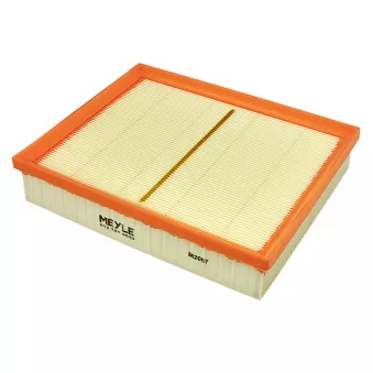 Filtre à air MEYLE