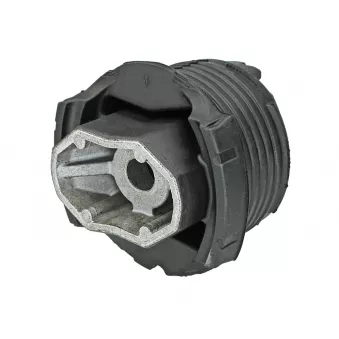 Suspension, corps de l'essieu MEYLE 014 710 0025