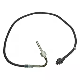 Capteur, température des gaz MEYLE