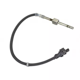 Capteur, température des gaz MEYLE