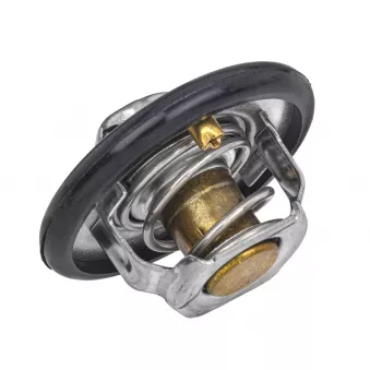 Thermostat, liquide de refroidissement MEYLE 028 289 0000