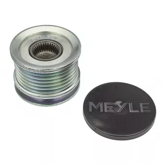 Poulie roue libre, alternateur MEYLE 100 053 1006