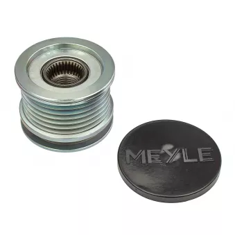 Poulie roue libre, alternateur MEYLE 100 053 1009