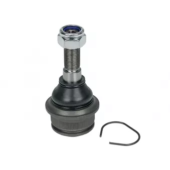 Rotule de suspension MEYLE 116 010 0038