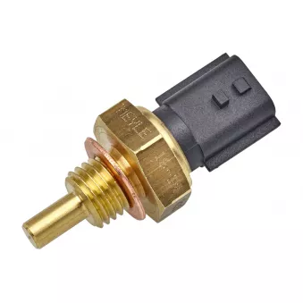 Sonde de température, liquide de refroidissement MEYLE 16-14 821 0007