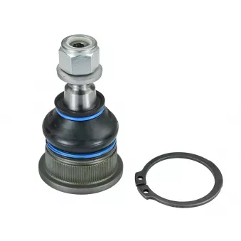 Rotule de suspension MEYLE 16-16 010 0002