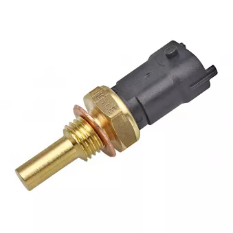 Sonde de température, liquide de refroidissement MEYLE 214 821 0011