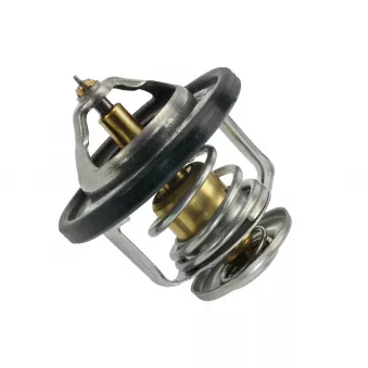 Thermostat, liquide de refroidissement MEYLE