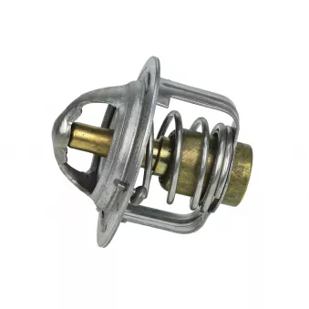 Thermostat, liquide de refroidissement MEYLE