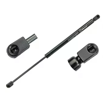 Vérin, capot-moteur MEYLE 40-40 910 0010