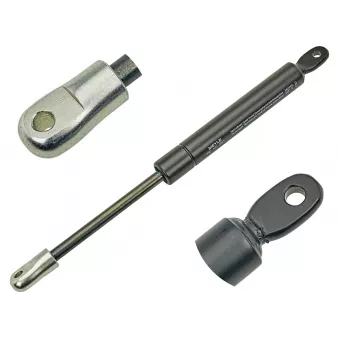 Vérin, capot-moteur MEYLE 440 160 3065