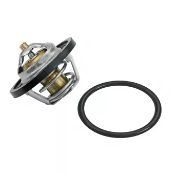 Thermostat, liquide de refroidissement MEYLE