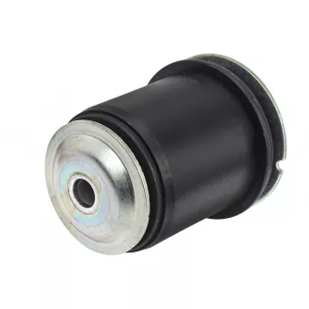 Suspension, corps de l'essieu MEYLE