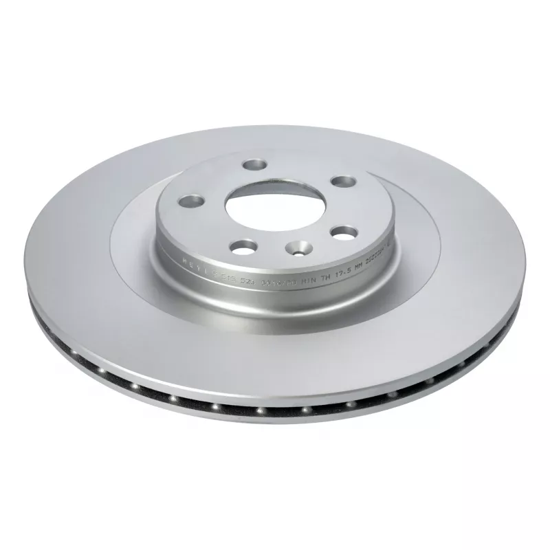 Jeu de 2 disques de frein arrière MEYLE 515 523 0016/PD