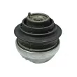 Support moteur MEYLE 014 024 0156 - Visuel 1