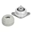 Support moteur MEYLE 014 024 1114 - Visuel 1
