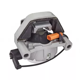 Support moteur MEYLE 100 199 0307