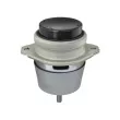 Support moteur MEYLE 100 199 1190 - Visuel 2