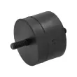 Support moteur MEYLE 300 118 1101 - Visuel 2