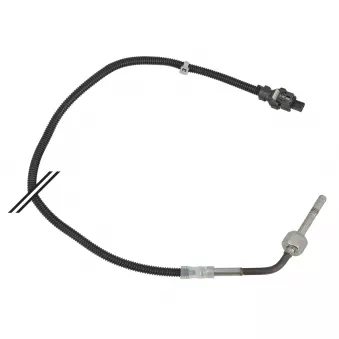 Capteur, température des gaz MEYLE