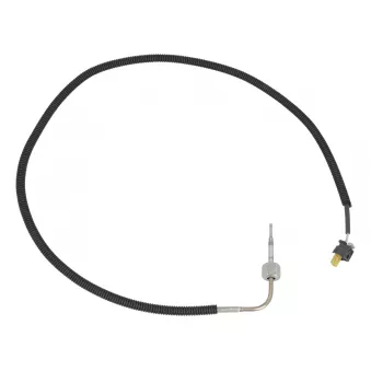 Capteur, température des gaz MEYLE