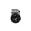Compresseur, climatisation BV PSH 090.105.005.311 - Visuel 1