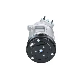 Compresseur, climatisation BV PSH 090.105.006.040