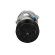 Compresseur, climatisation BV PSH 090.135.049.310 - Visuel 1