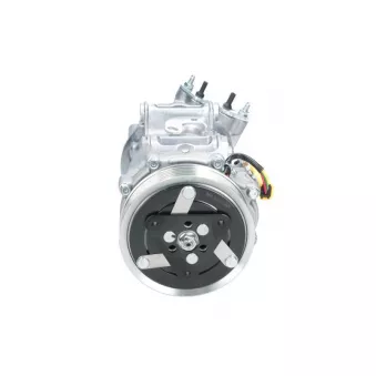 Compresseur, climatisation BV PSH 090.225.009.907