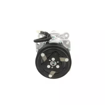 Compresseur, climatisation BV PSH 090.225.015.876