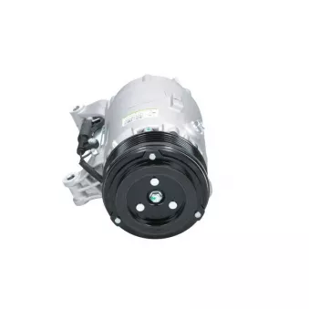 Compresseur, climatisation BV PSH 090.445.001.040