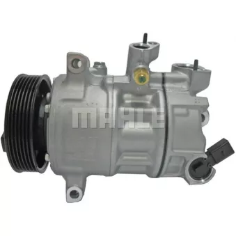Compresseur, climatisation BV PSH 090.445.002.310