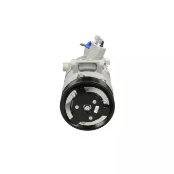 Compresseur, climatisation BV PSH 090.445.006.311