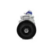 Compresseur, climatisation BV PSH 090.445.006.876 - Visuel 1
