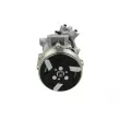 Compresseur, climatisation BV PSH 090.495.004.876 - Visuel 1