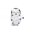 Compresseur, climatisation BV PSH 090.505.005.050 - Visuel 3