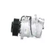 Compresseur, climatisation BV PSH 090.555.065.050 - Visuel 2
