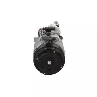Compresseur, climatisation BV PSH 090.555.160.050