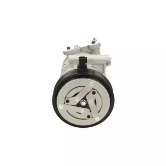 Compresseur, climatisation BV PSH 090.595.078.020