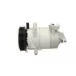 Compresseur, climatisation BV PSH 090.595.078.020 - Visuel 2