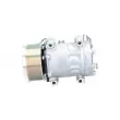 Compresseur, climatisation BV PSH 090.645.021.905 - Visuel 2