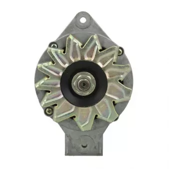 Alternateur BV PSH 135.811.070.216