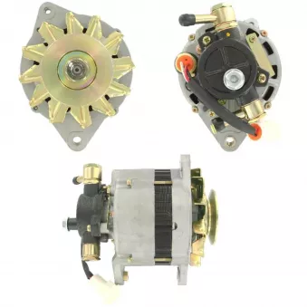 Alternateur BV PSH 135.959.070.080