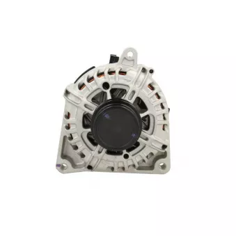 Alternateur BV PSH 135.971.170.500