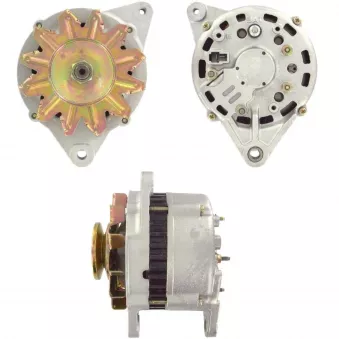 Alternateur BV PSH 165.005.060.080