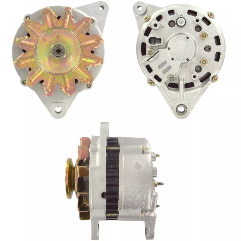 Alternateur BV PSH 165.005.060.080