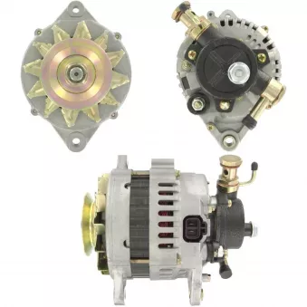 Alternateur BV PSH 165.819.070.080