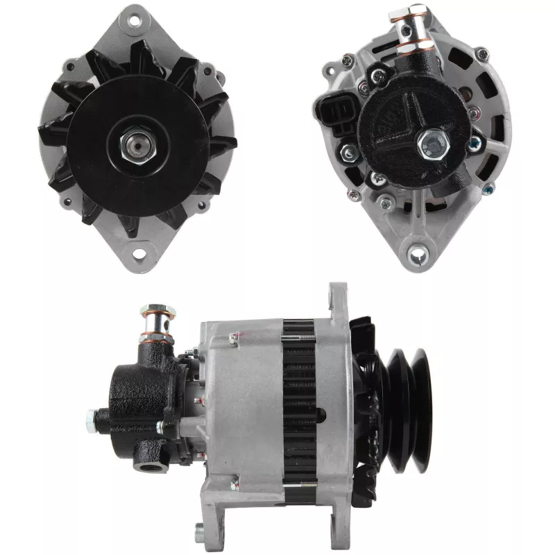 Alternateur BV PSH 165.822.090.010