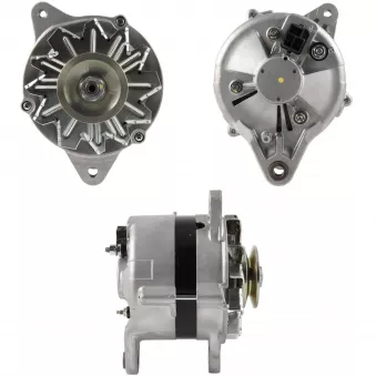 Alternateur BV PSH 195.371.040.050
